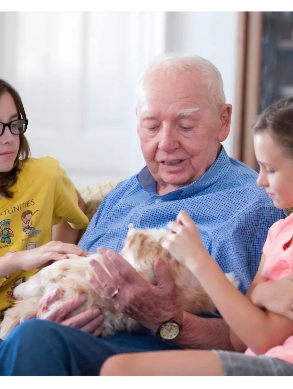 JOY FOR ALL - Orange Tabby Cat - Interactive Companion Pets